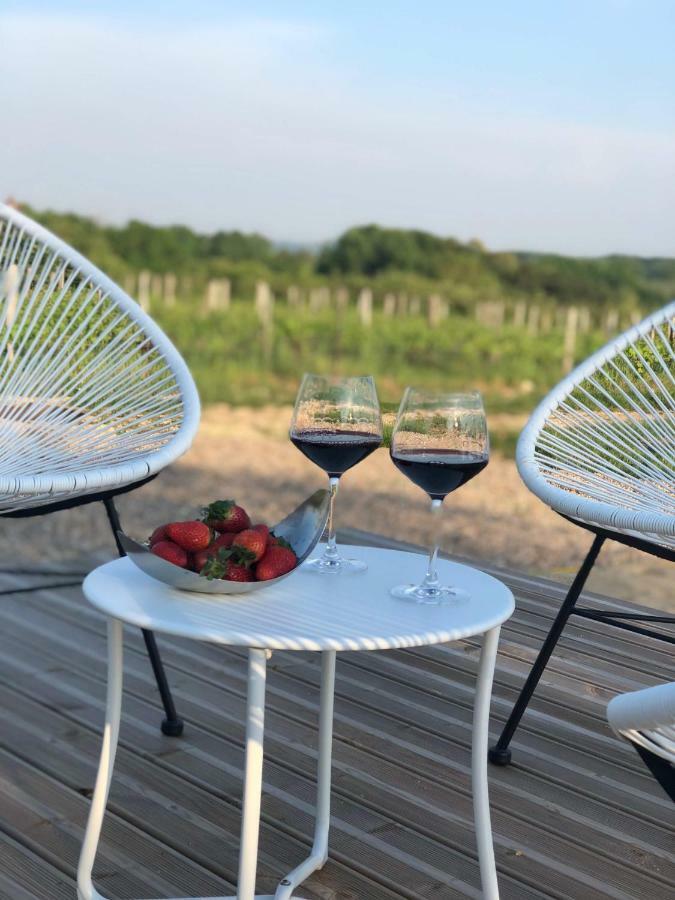 Chez Henri Bed & Breakfast Belves-de-Castillon Luaran gambar